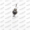 Suspension Strut GT Gas Reflex