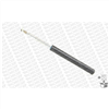 Suspension Strut Original