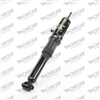 Shock Absorber Gas Riser