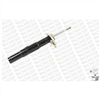 Suspension Strut - OE Spectrum